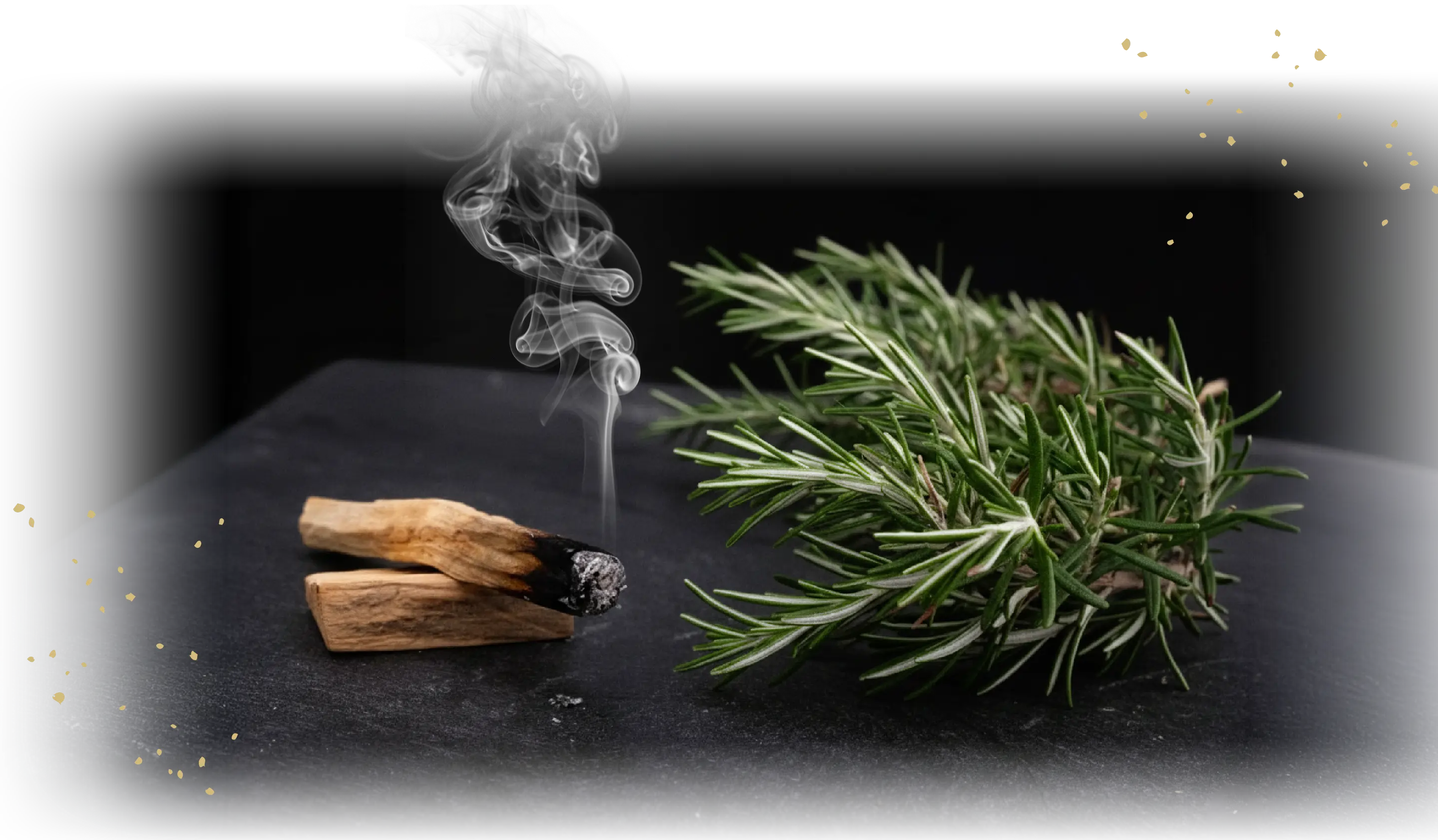 オンラインストア