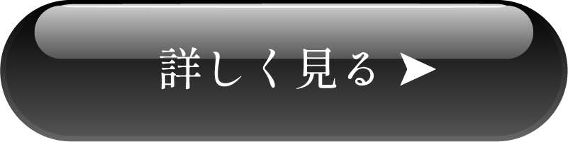詳しく見る（ボタン）